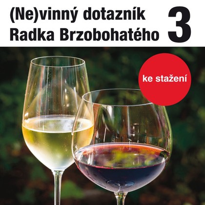 (Ne)vinný dotazník Radka Brzobohatého 3